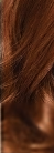 B4